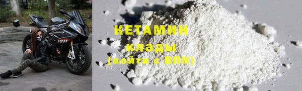 прущие грибы Ельня