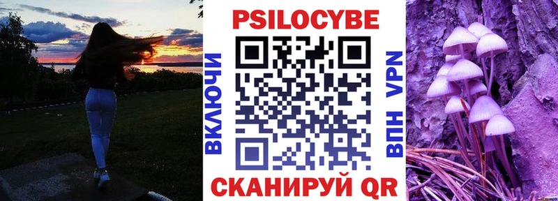 цены   гидра tor  Псилоцибиновые грибы Cubensis  Судогда 